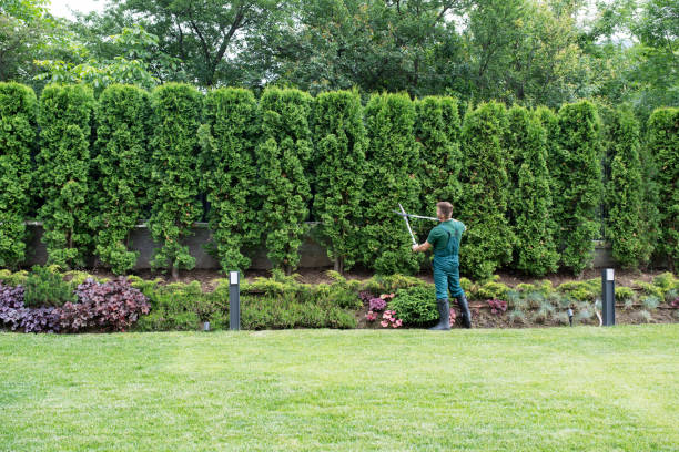 Best Lawn Irrigation Installation and Maintenance  in Wabash, IN